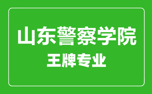 山東警察學(xué)院王牌專(zhuān)業(yè)有哪些,山東警察學(xué)院最好的專(zhuān)業(yè)是什么