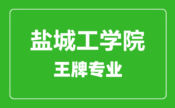 鹽城工學(xué)院王牌專(zhuān)業(yè)有哪些,鹽城工學(xué)院最好的專(zhuān)業(yè)是什么