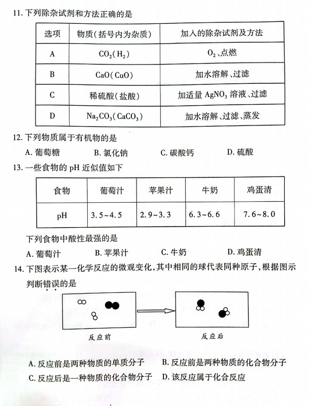 2023年郴州市中考化學試卷真題及答案