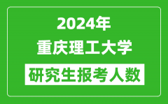 2024年重慶理工大學(xué)研究生報(bào)考人數(shù)