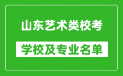 山東藝術(shù)類專業(yè)校考學(xué)校及專業(yè)名單