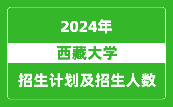 西藏大學(xué)2024年在重慶的招生計劃及招生人數