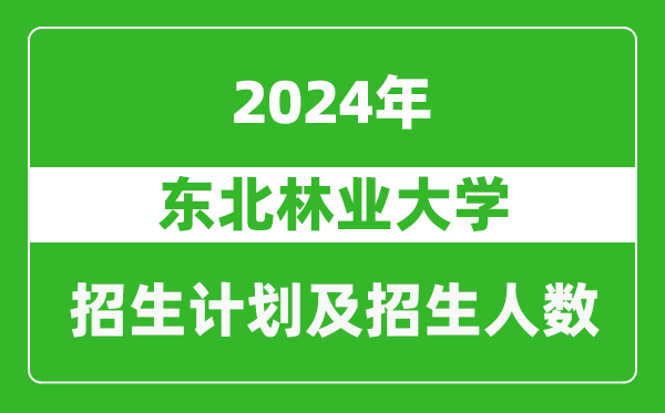 東北林業(yè)大學(xué)2024年在上海的招生計劃及招生人數