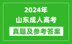 2024年山東成人高考高起點(diǎn)語(yǔ)文真題及參考答案