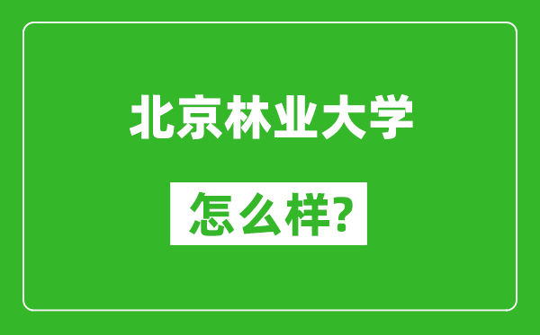 北京林業(yè)大學(xué)怎么樣好不好,值得報考嗎？