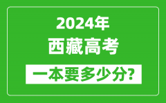 2024年西藏一本要多少分_西藏一本線預(yù)估