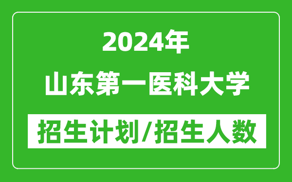 2024年山東第一醫科大學(xué)各省招生計劃及各專(zhuān)業(yè)招生人數是多少