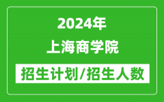 2024年上海商學(xué)院各省招生計(jì)劃及各專業(yè)招生人數(shù)是多少？