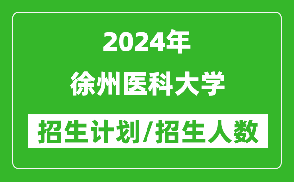 2024年徐州醫科大學(xué)各省招生計劃及各專(zhuān)業(yè)招生人數是多少